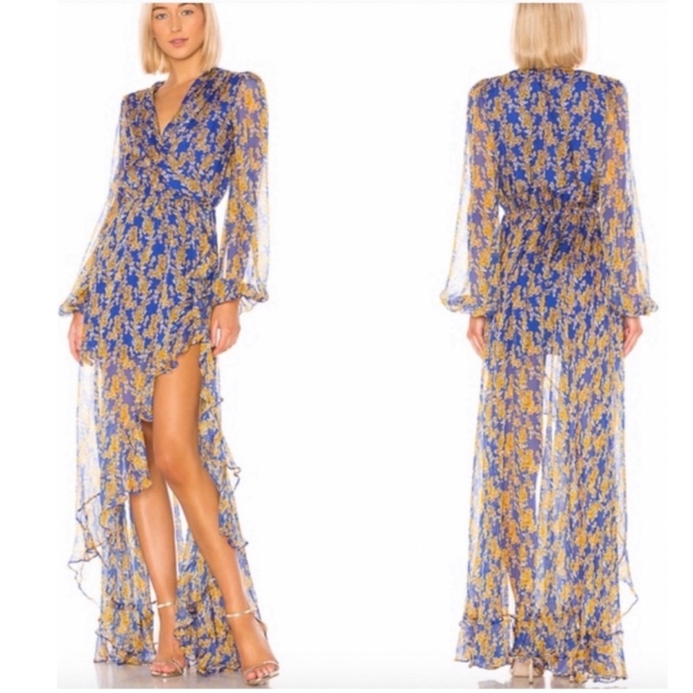 Caroline Constas Liv Floral Silk Chiffon Maxi Dress